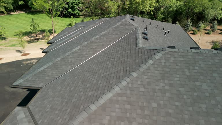 Best Roof Insulation Installation  in Buchanan, MI
