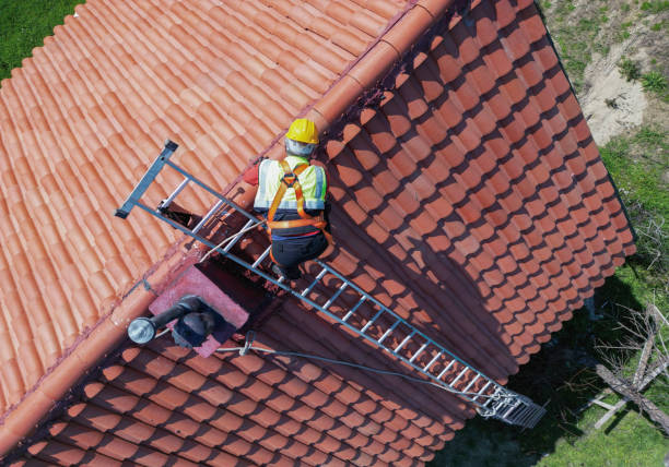 Best Roof Leak Repair  in Buchanan, MI