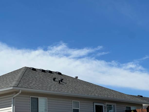 Best Commercial Roofing Services  in Buchanan, MI